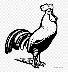 Check spelling or type a new query. Black And White Rooster Animal Free Black White Clipart Rooster Black And White Clip Art Free Transparent Png Clipart Images Download