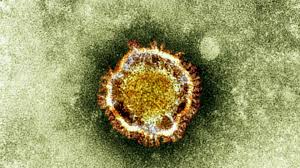 Misterios del coronavirus que la ciencia no ha logrado aún resolver