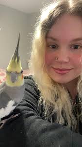 Is this heater okay to use around my birds?