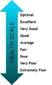 It seems like yoga is becoming more and more popular each year, with additional classes and studios opening up all over the country. A New Health Care Paradigm Health Care Vs Sick Care Physiomobility