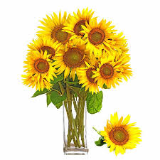 Maybe you would like to learn more about one of these? Father S Day Flower Gifts Flowers For Dad Toronto Blooms