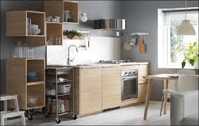 Cuisines De 2 Compteurs Lineaires Pour Petits Espaces Idee De Deco Petit Espace Placard Cuisine Cuisine Moderne