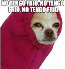 75 Ideas De Frio Frio Memes De Frio Frio Gracioso 45 tengo frio memes ranked in order of popularity and relevancy. memes de frio frio
