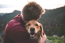 That S Why Dogs Wag Their Tails They Don T Do It For Joy Newsabc Net