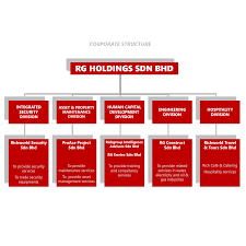 Upon his retirement from rmn, he was then pursuing his career as a general manager in a company of mtu services (m) sdnbhd and later join bhic bofors asia sdnbhdas chief executive officer. Corporate Structure Rg Holding