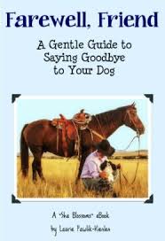If my dog needs to be put down, i have thoughts about shooting her instead of having a vet euthanize her. 6 Signs It S Time To Put Your Dog To Sleep A Vet S Advice