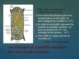 The number inside the triangle indicates the size of the retrotransposon in bp. Scientific Notation Measuring The Very Largest Distances And The Very Smallest Portions Ppt Download