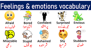 The page not only provides urdu meaning of saucer but also gives extensive definition in english language. Feelings And Emotions Vocabulary List With Urdu Meanings Feelings And Emotions English Learning Spoken Vocabulary List