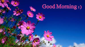 Download Good Morning Images With Flowers Jpg 800 450 Good Morning Photos Download Good Morning Photos Good Morning Images