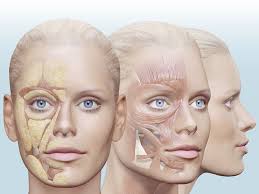 Merz uses these data to provide you with access to the website in a readable form, to identify and fix any technical problems that may arise, and to prevent and, if necessary, take action against, any abuse of our services. Aesthetics Merz Pharma
