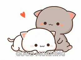We did not find results for: Milk And Mocha Gif Icegif