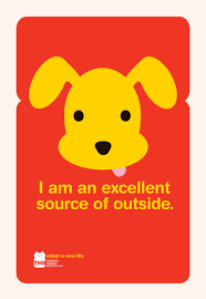 Founded in 1955, woods humane society is an independent nonprofit organization dedicated to the humane care of homeless dogs and cats in san luis obispo county. Nice Public Service Ad For The Toronto Humane Society Leo Burnett Was The Agency That Created It I Believe Humane Society Adoption Pet Adoption