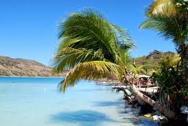 L Ilet Pinel A Saint Martin Dans Les Antilles Plage Paradisiaque Saint Martin Vacances