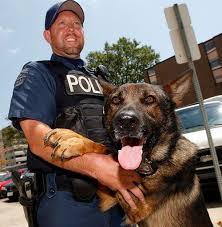 K 9 Officers Getting A Second Leash On Life Extreme Tactical Dynamics Police Dogs Military Dogs Police Dog Training