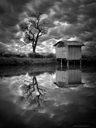 Black And White Landscape Photos For Sale Peace Happiness Black And White Landscape Black And White Photography Black And White Photographs