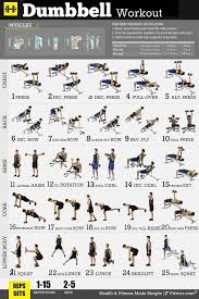 Dumbbell Exercises Workout Poster Professional Fitness Gym Wall Charts 18x24 Fitness Studio Training Trainierte Korper Fitness Workouts