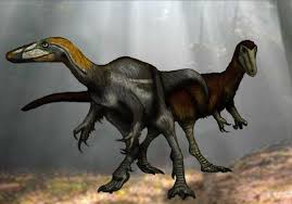 It was first found in 1998 but named in 2019. Suskityrannus Paleoart