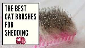 Regular brushing helps you spot possible skin problems on your cat. The Best Cat Brushes For Shedding