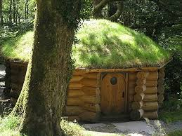 Toit Vegetal Photo De Insolites Habitats Yurtao La Voie De La Yourte Toit Vegetal Maison Fantaisiste Maison De Hobbit