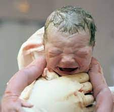 Maybe you would like to learn more about one of these? Il Corpo Umano Da Cosa E Ricoperto Questo Neonato La Facebook