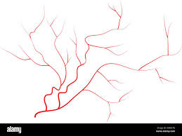 Eye veins immagini e fotografie stock ad alta risoluzione - Alamy