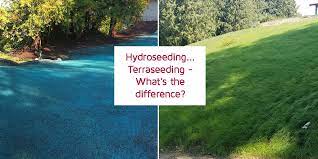 The length of time it takes to grow a hydroseeded lawn depends on the type of grass seed and the weather. Hydroseeding Terraseeding What S The Difference