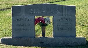 Callie Victoria Miller Blevins (1899-1967)