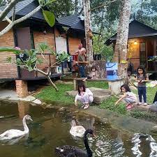 * 5 minit ke pekan batu 14. Suara Rimba Berkawan Dengan Haiwan Di Percutian Menawan Jelajah Maya