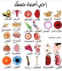 إحمي أعضاء جسمك Health Fitness Food Health Facts Fitness Health And Wellness Center