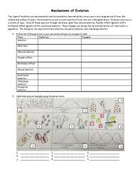 Visualization of this activity use sticky notes to teach. Mechanisms Of Evolution By Christa Pedata Teachers Pay Teachers