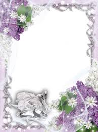 Renda kartu pola desain bunga vektor pastel latar belakang. Wedding Background Photo Frame Novocom Top