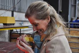 The Countess of Wessex attended The Farm & Country Day at the Royal  Cornwall Showground