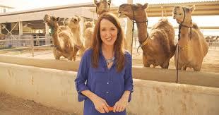 Camel milk is rich in nutrients, including proteins and good fats. How Are Camel Milk Products Being Consumed Worldwide Africanews