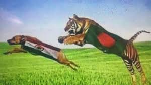 Bangladesh vs india prediction 7 june 2021. Bangladesh Fan Drapes India Flag Around Dog Ahead Of Icc Champions Trophy Semifinal