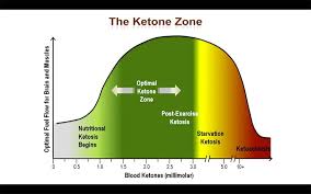 Ketone Levels Chart Australia Bedowntowndaytona Com