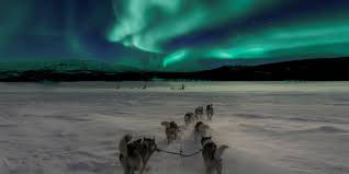 Hobbyfilmer filmt polarlichter über finnland. Die 10 Besten Orte Um Polarlichter Zu Sehen Weltweit 2021