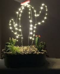 Determine what kind of cactus you have. Diy Light Decorative Composition With Cactus My Desired Home