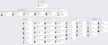 Nursing Organizational Chart Org Chart Organizational Chart Nursing Jobs