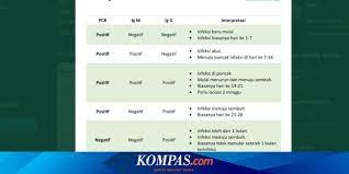 We did not find results for: Memahami Pcr Dan Rapid Test Pada Hasil Lab Covid 19 Seperti Apa Halaman All Kompas Com
