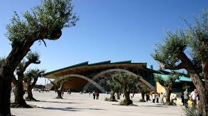He marked his body with the (5) wounds of christ crucified, as a powerful witness to christ's passion and death. Wer War Der Heilige Pater Pio Von Pietralcina Kirche Leben