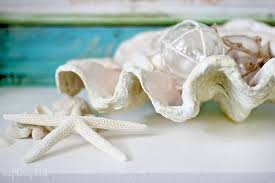 Huge sale on artificial coral decorations now on. Diy Sea Life 10 Easy Ways To Make Faux Seashells Coral Driftwood And More Garden Sanity By Pet Scribbles