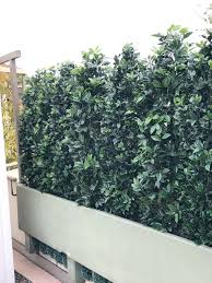 Bella Planta Kunstpflanzen Und Kunstbaume Startseite Kunstpflanzen Pflanzen Kunst