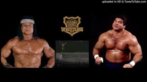 Don Muraco On Jimmy Snuka S Steel Cage Leap At Madison Square Garden Youtube