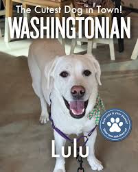 Washingtonian