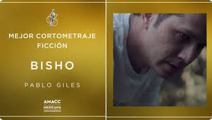 Estos son todos los ganadores del premio Ariel 2021