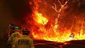 Australian Bush Fires Were Not Caused By Climate Change Alone