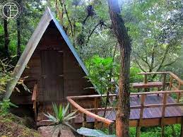 Sifarişçilər daim onlar üçün ekonomik olan keyfiyyətli məhsul axtarışında olur. Earth Lodge Ulu Muda Forest Reserve Nature Beach On Peninsular Malaysia Malaysia Experience Travel Group