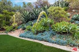 Top 7 Houston Landscaping Ideas Front Yard Landscaping Zodega