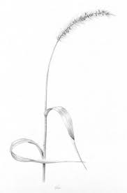 Foxtail Grass Black Ink Art Shape Art Human Canvas