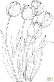 If you want colored (already filled with colors) tulip graphic to print then click print tulip coloring page (color). Four Tulips Coloring Page Gif 1004 1513 Flower Drawing Flower Coloring Pages Coloring Pages